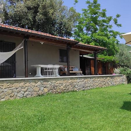 B&B La Casina Di Iris Arezzo Extérieur photo