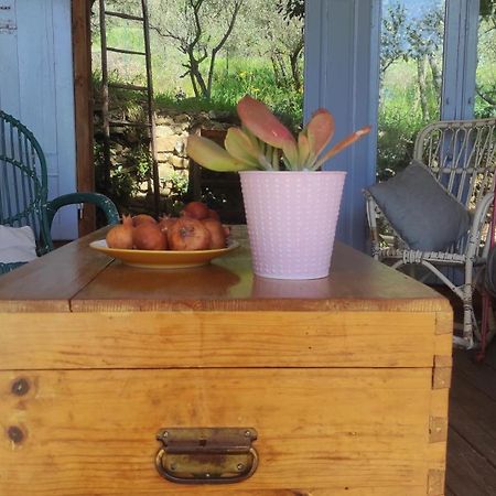 B&B La Casina Di Iris Arezzo Extérieur photo