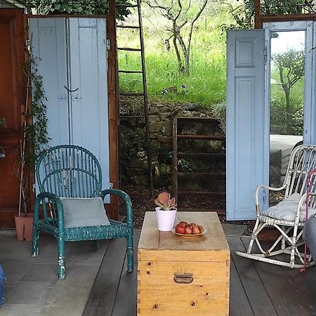 B&B La Casina Di Iris Arezzo Extérieur photo