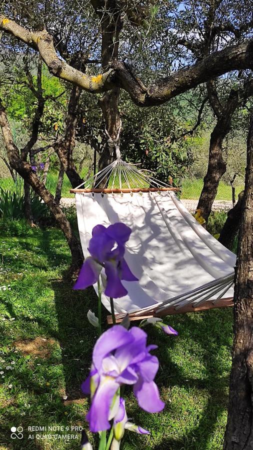 B&B La Casina Di Iris Arezzo Extérieur photo