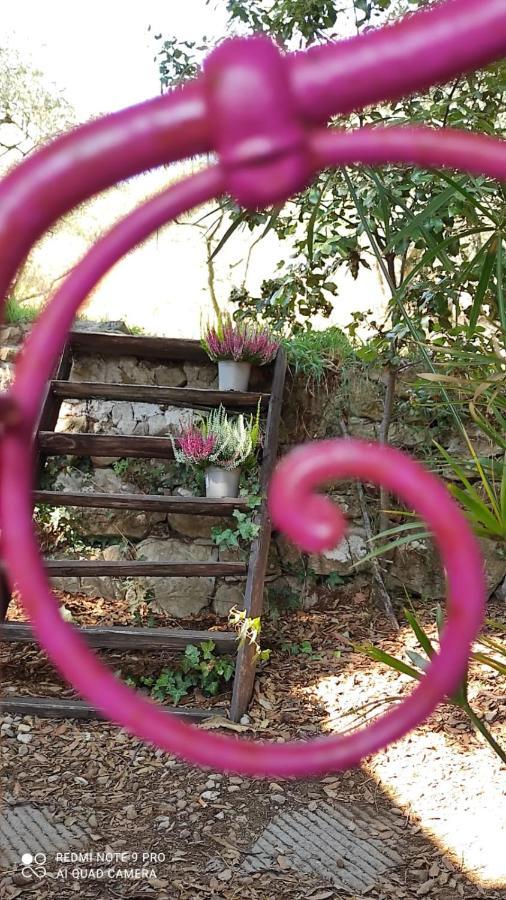 B&B La Casina Di Iris Arezzo Extérieur photo