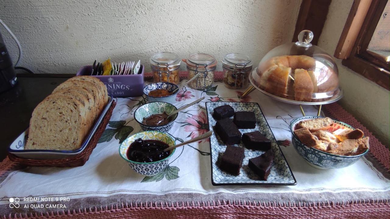B&B La Casina Di Iris Arezzo Extérieur photo
