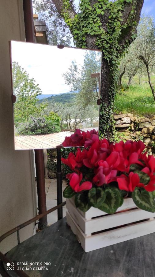 B&B La Casina Di Iris Arezzo Extérieur photo