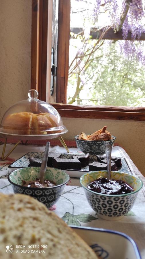 B&B La Casina Di Iris Arezzo Extérieur photo