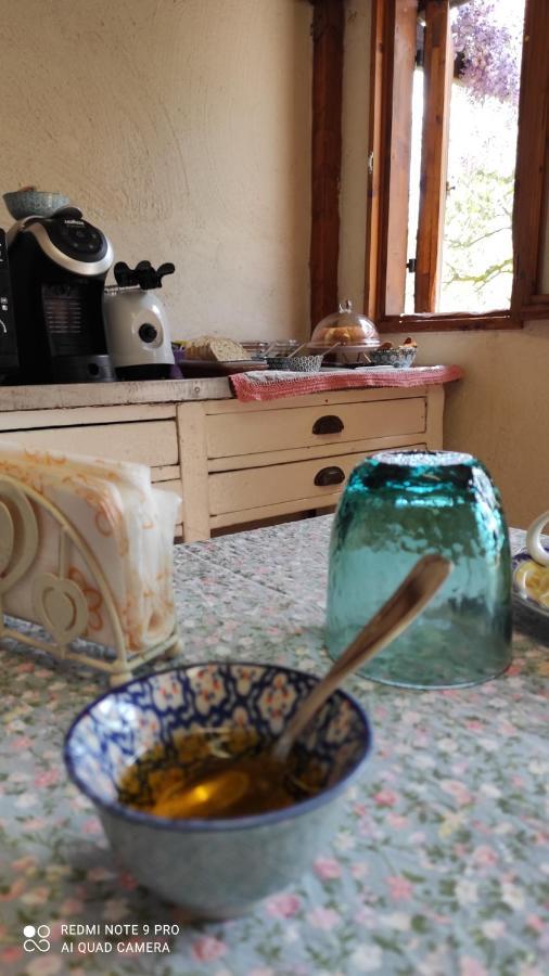 B&B La Casina Di Iris Arezzo Extérieur photo