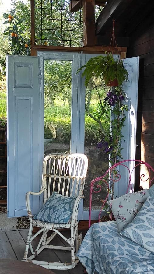 B&B La Casina Di Iris Arezzo Extérieur photo