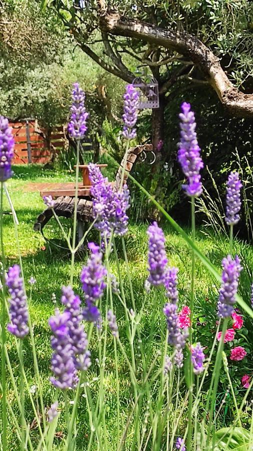 B&B La Casina Di Iris Arezzo Extérieur photo