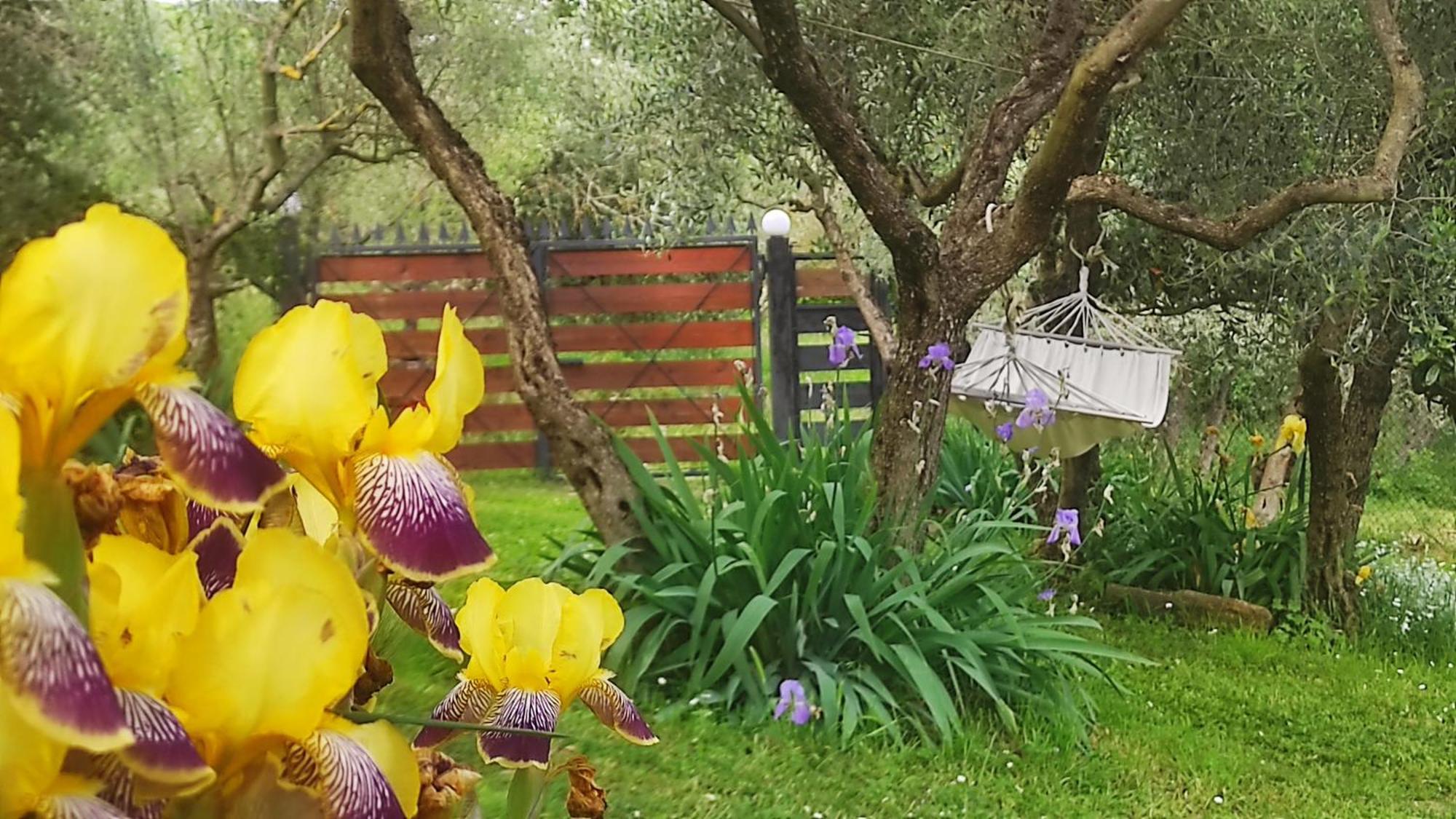 B&B La Casina Di Iris Arezzo Extérieur photo